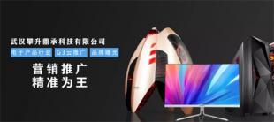 武汉攀升鼎承科技有限公司
